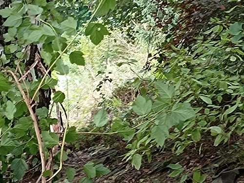 Stav před pokládkou